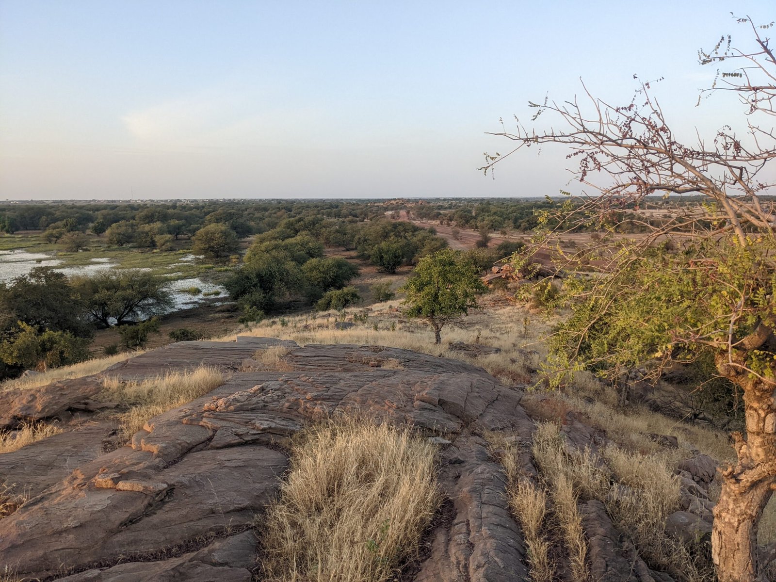 Étendue de savane sèche du Diéri bordée d'une mare à Dembancane, région de Matam